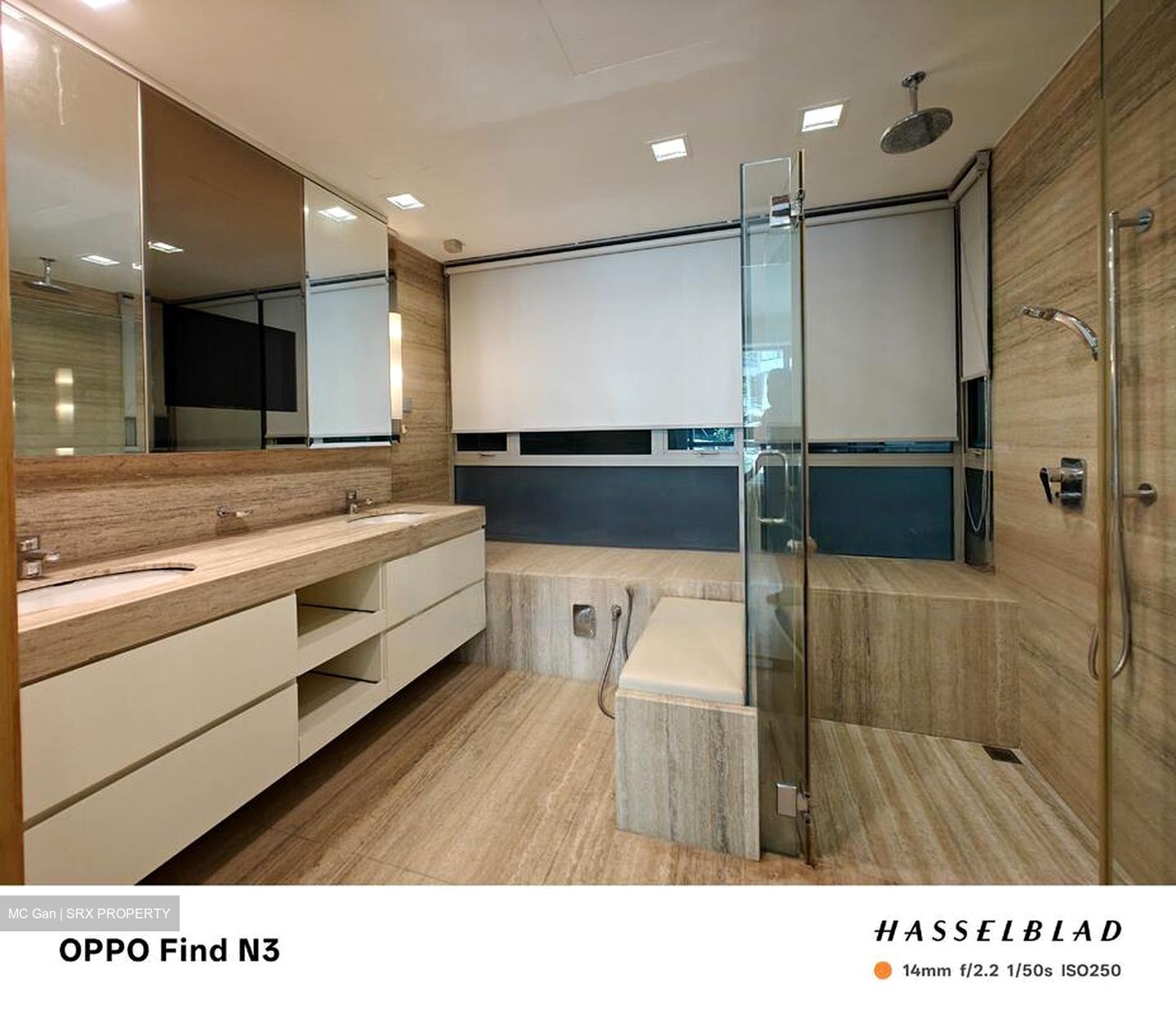 The Light @ Cairnhill (D9), Condominium #455278771